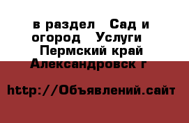  в раздел : Сад и огород » Услуги . Пермский край,Александровск г.